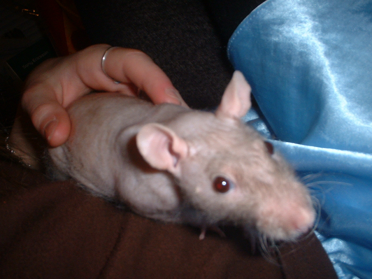 DSCF0381.JPG