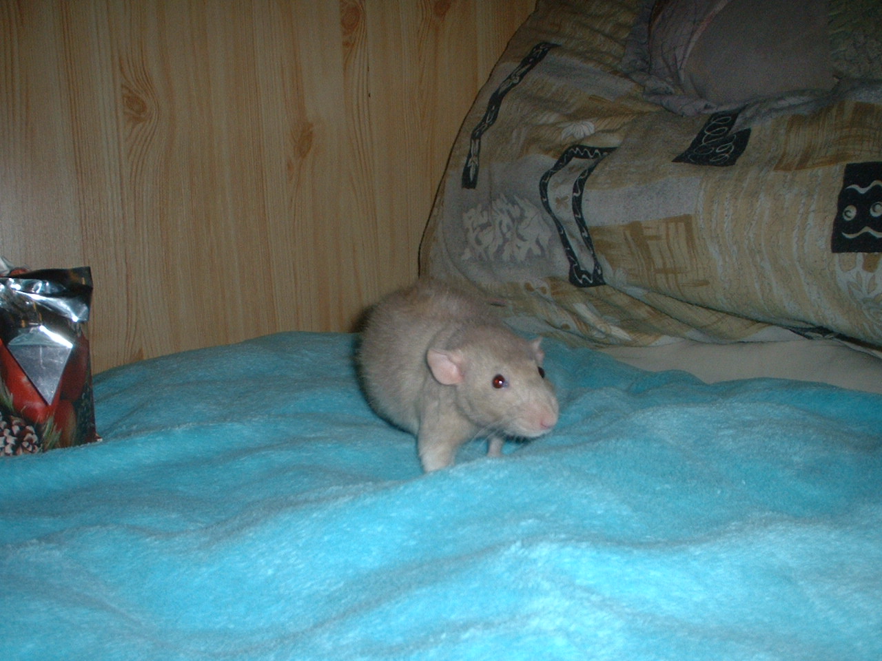 DSCF0413.JPG