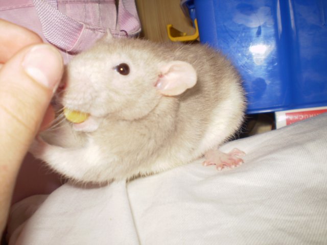 08c9aafdf3f010a001e0.jpg